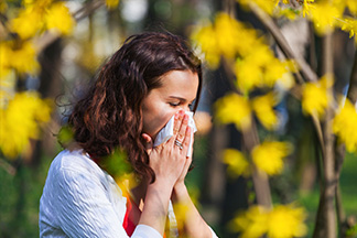 h-allergies